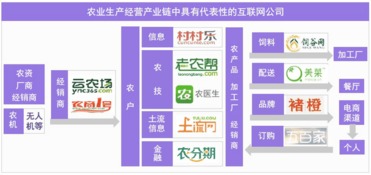 從美日現代農業發展進程，看互聯網將如何改造中國的農業技術服務——以河南為例
